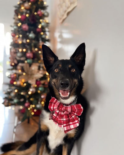 What's most important to you this holiday season?