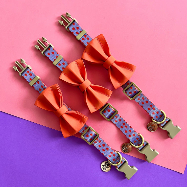 The Heartbreaker - Dog Collar