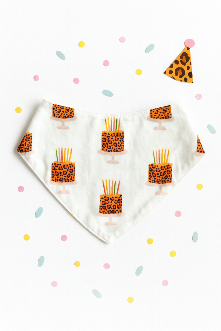 Birthday Vibes - 2-In-1 Bandana