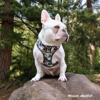 Woodland Wonders - Adjustable Chest Harness