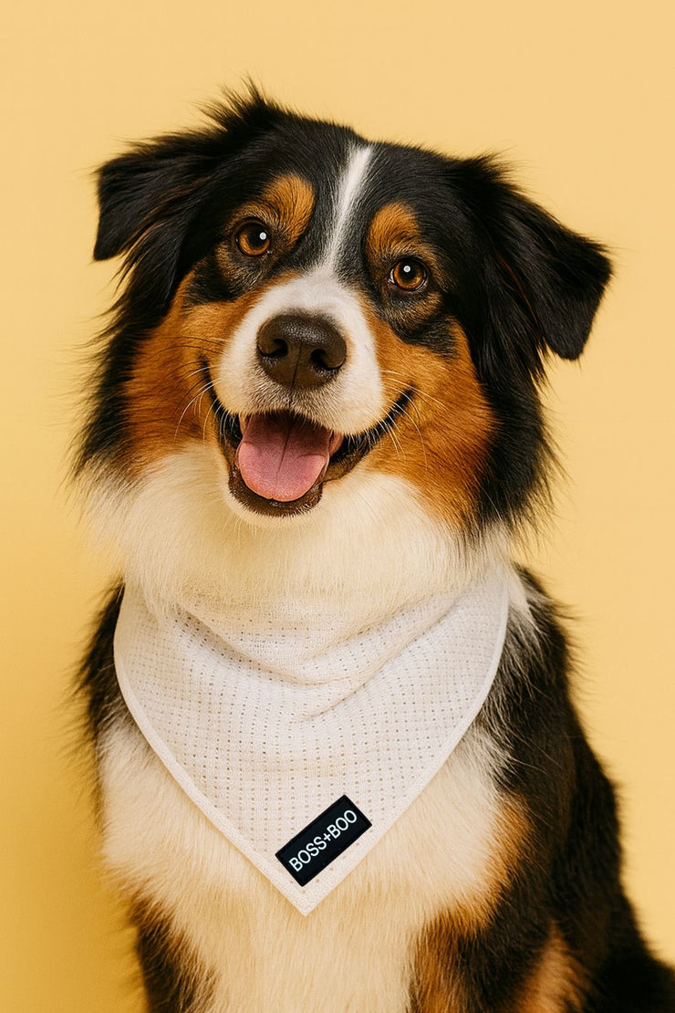 White - Bandana