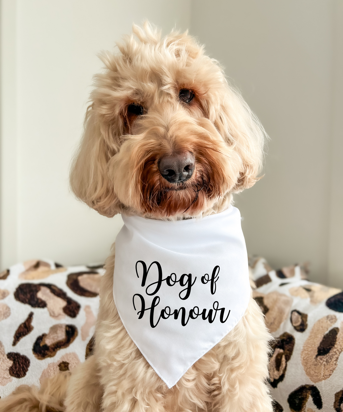 Dog of Honour - Pet Bandana