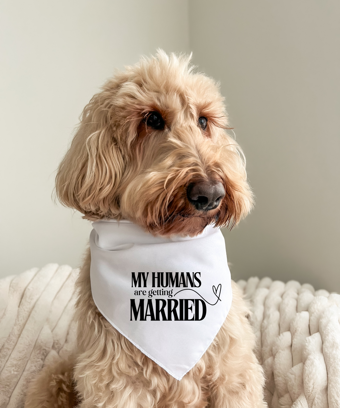 My Humans Are Getting Married - Pet Bandana