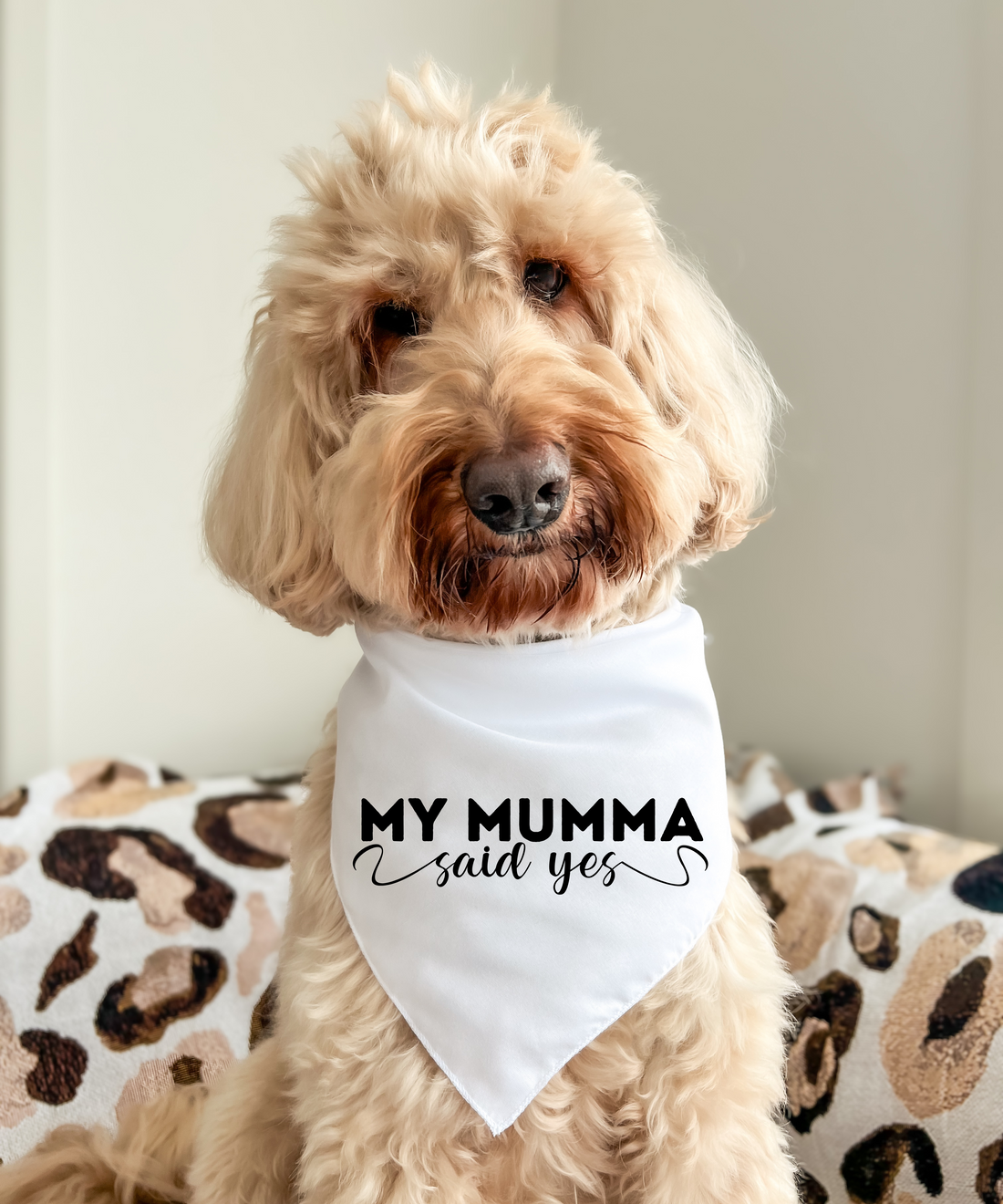 My Mumma Said Yes - Pet Bandana