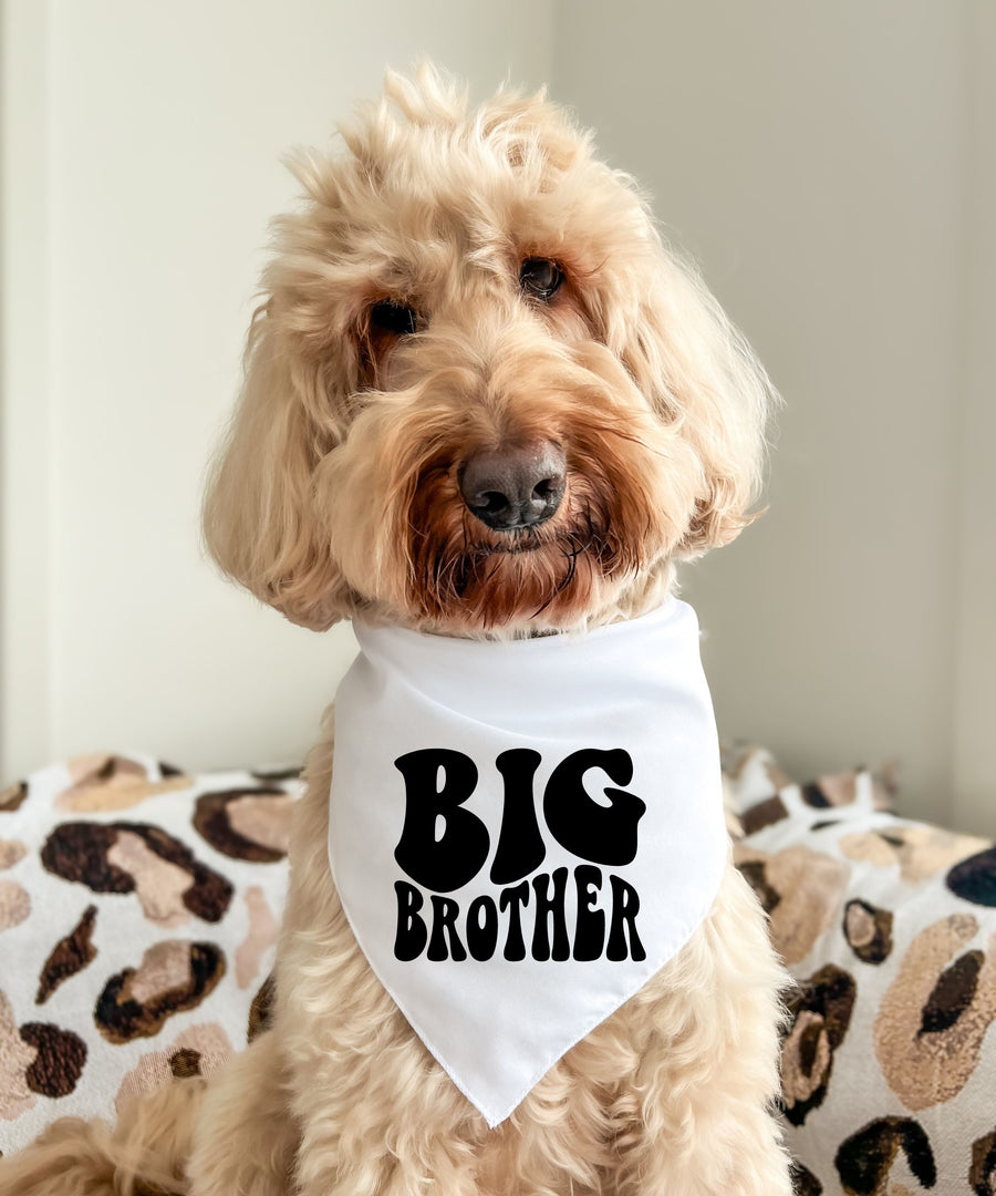 Big Brother - Pet Bandana