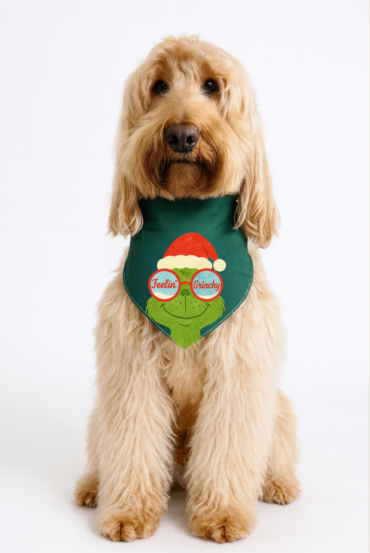 Howdy, Mr. Grinch - 2-In-1 Bandana