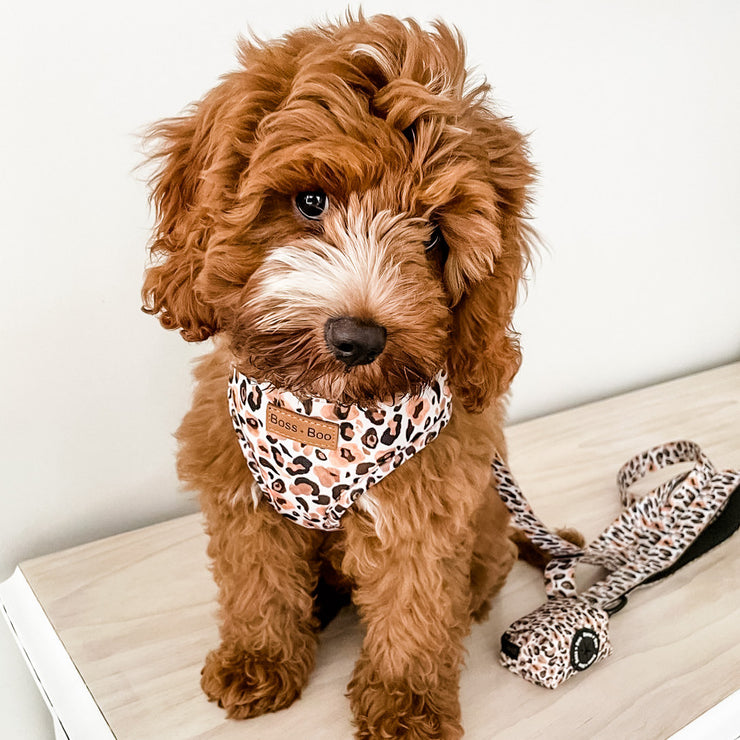 Luxe Leopard - Adjustable Chest Harness (Old Logo)