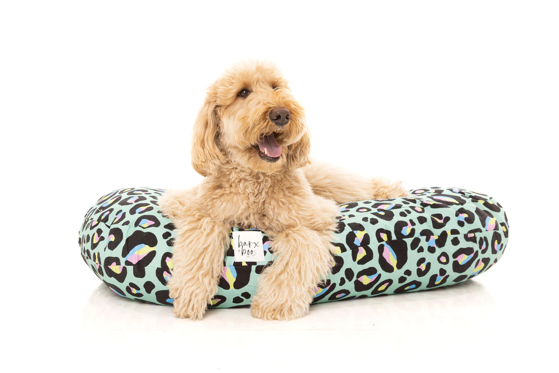 Mint Leopard - Cosy Dog Bed