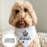 Custom Birthday Boy - Pet Bandana