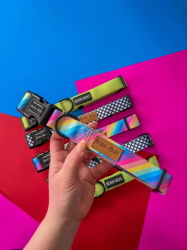 Rainbow  - Dog Collar (Old Logo)