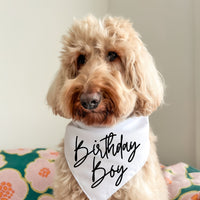 Birthday Boy - Pet Bandana