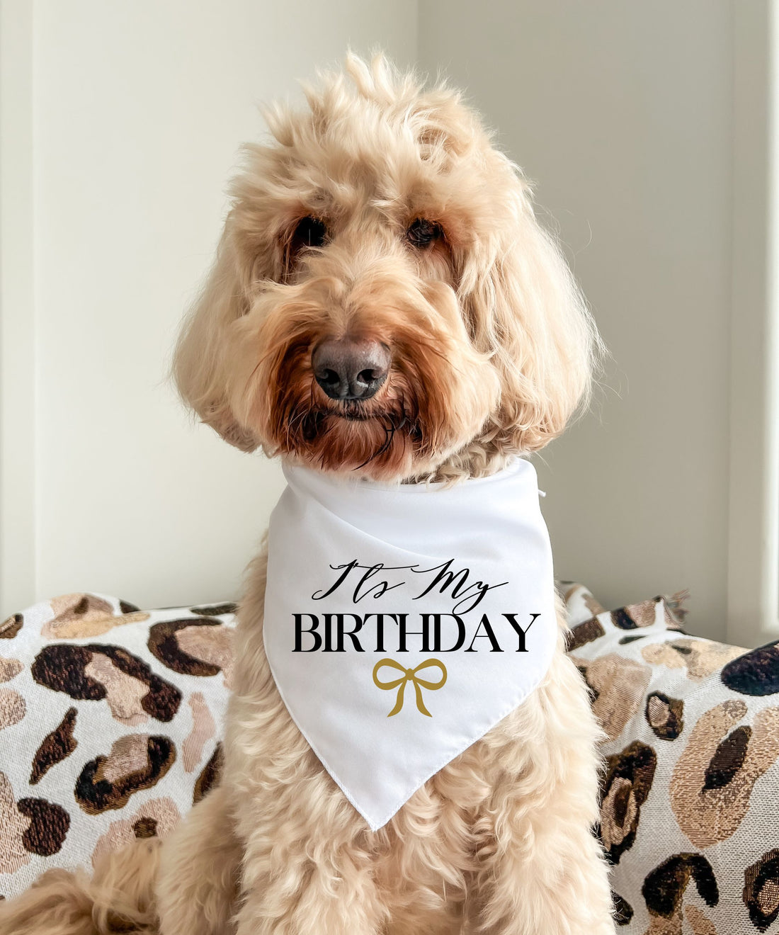 It's My Birthday - Pet Bandana