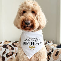 It's My Birthday - Pet Bandana