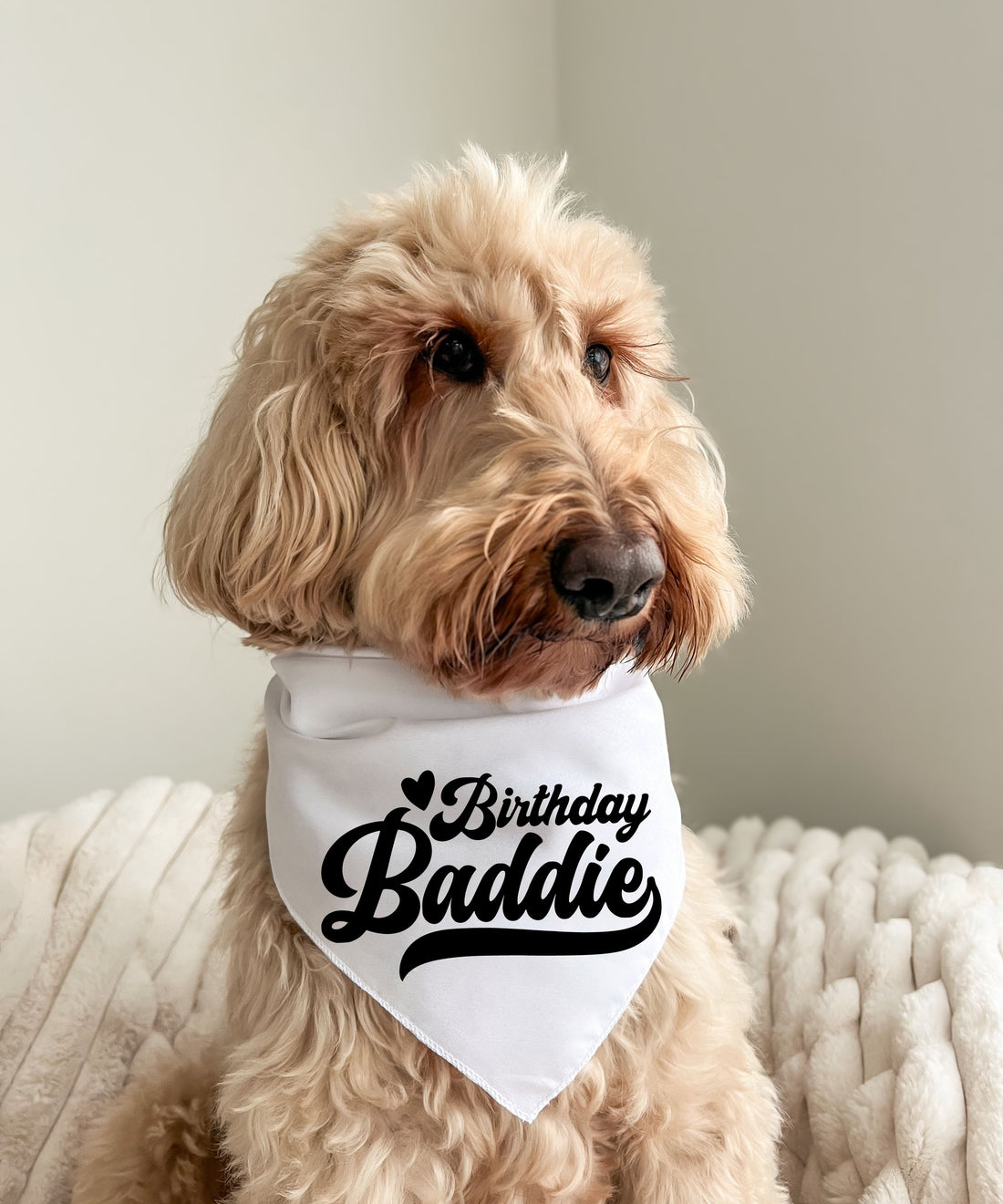 Birthday Baddie - Pet Bandana