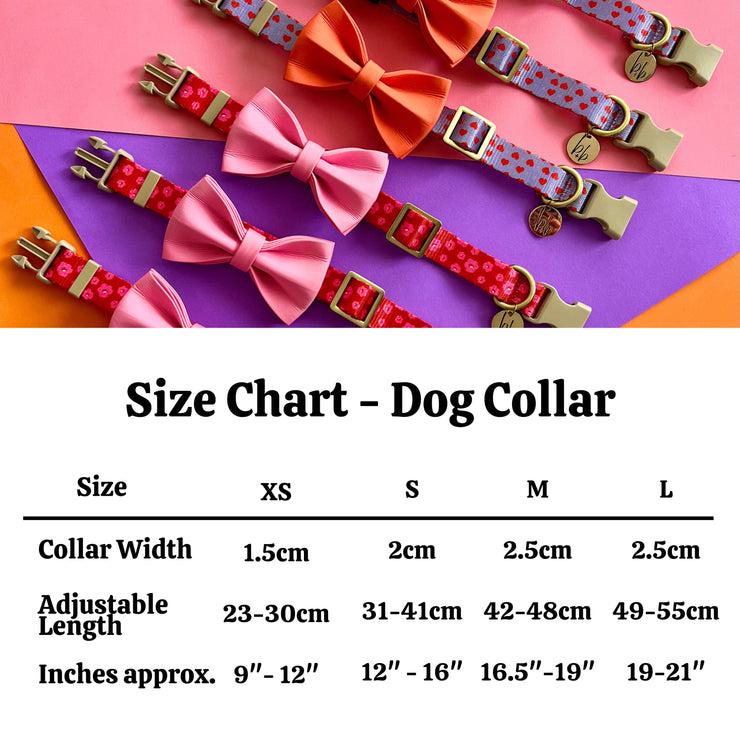 The Heartbreaker - Dog Collar