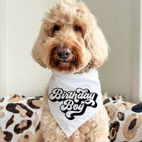 Birthday Boy - Pet Bandana