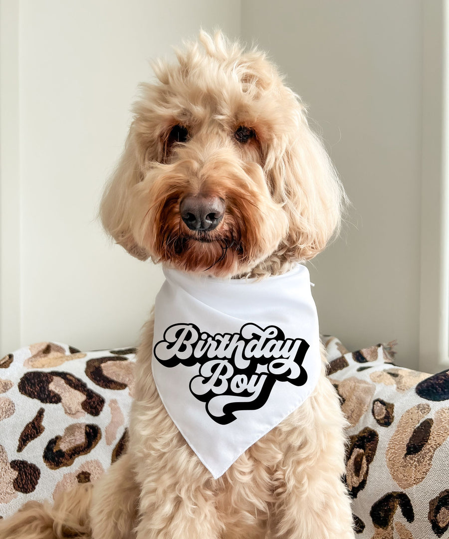 Birthday Boy - Pet Bandana