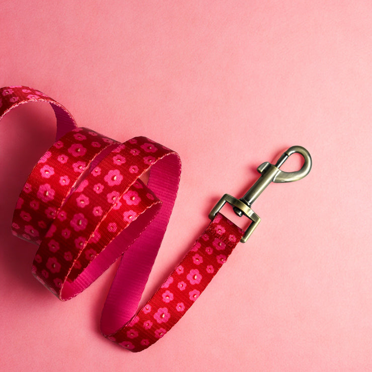 The Ruby - Dog Leash