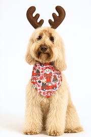 Big Bow Energy - 2-In-1 Bandana