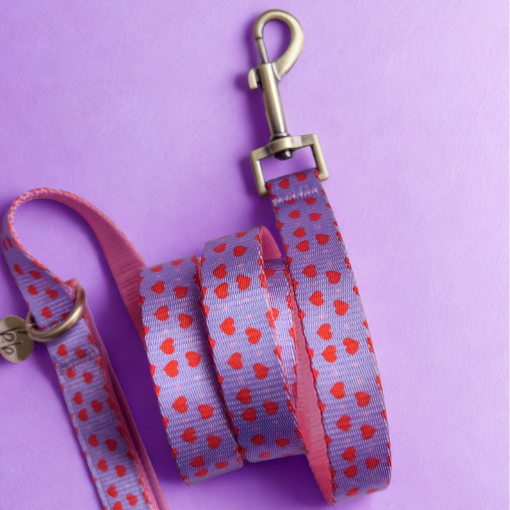 The Heartbreaker - Dog Leash