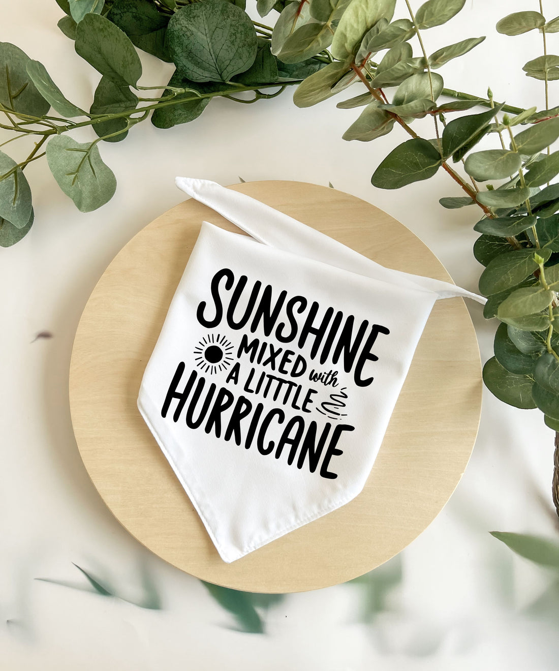 Sunshine Mixed With A Little Hurricane - Pet Bandana