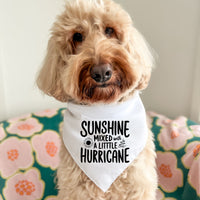 Sunshine Mixed With A Little Hurricane - Pet Bandana