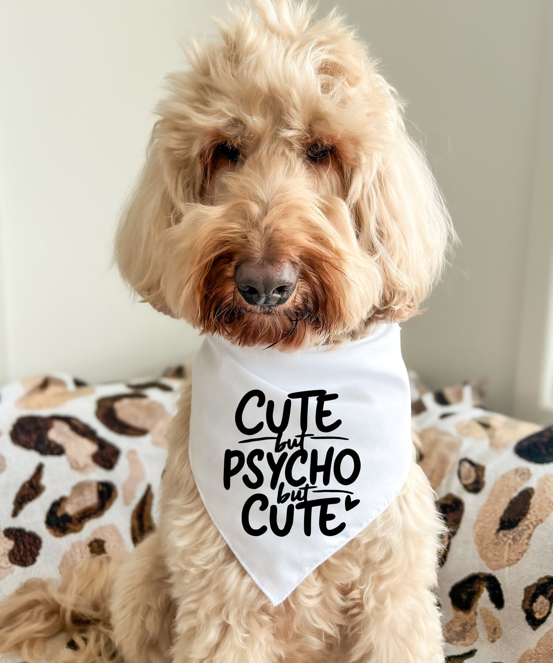 Cute But Psycho But Cute - Pet Bandana