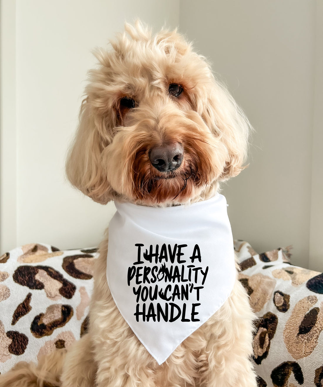 I Have A Personality You Can't Handle - Pet Bandana