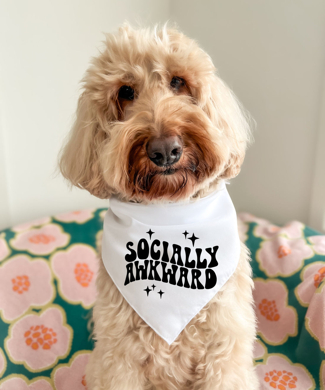 Socially Awkward - Pet Bandana