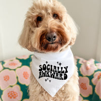 Socially Awkward - Pet Bandana