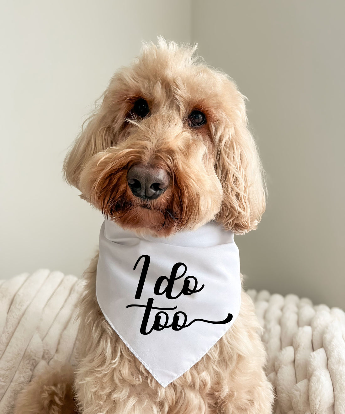 I Do Too - Pet Bandana