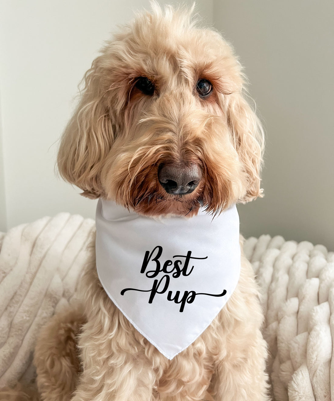 Best Pup - Pet Bandana