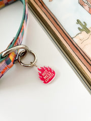 Hot Mess Express - Pet Tag