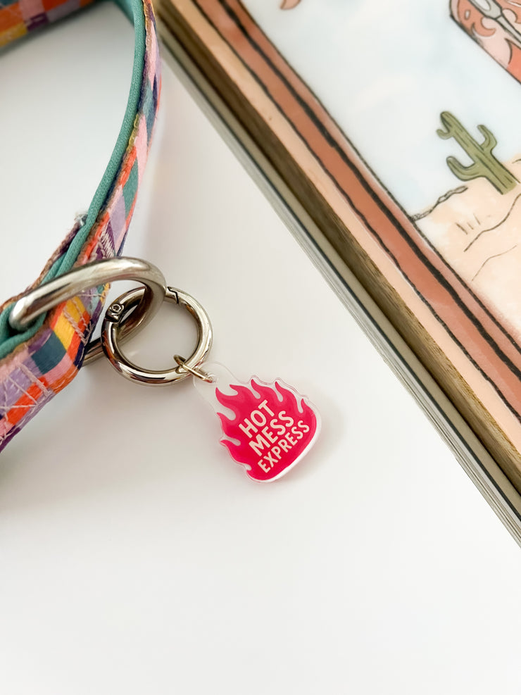 Hot Mess Express - Pet Tag