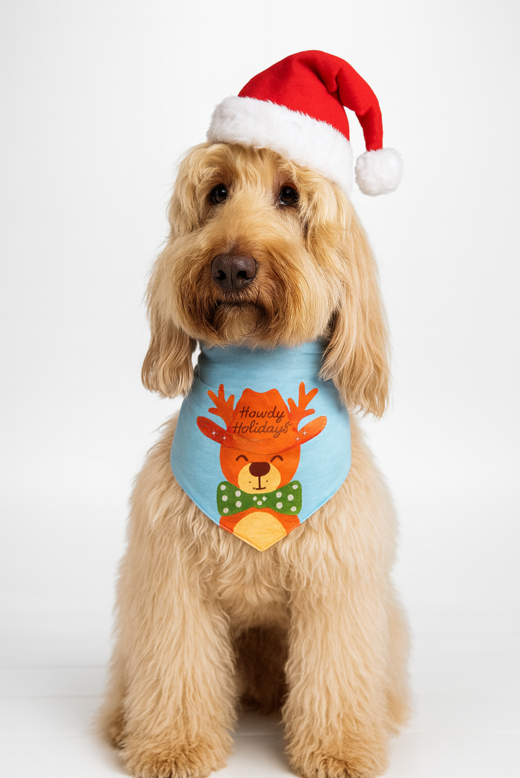 Howdy, Mr. Grinch - 2-In-1 Bandana
