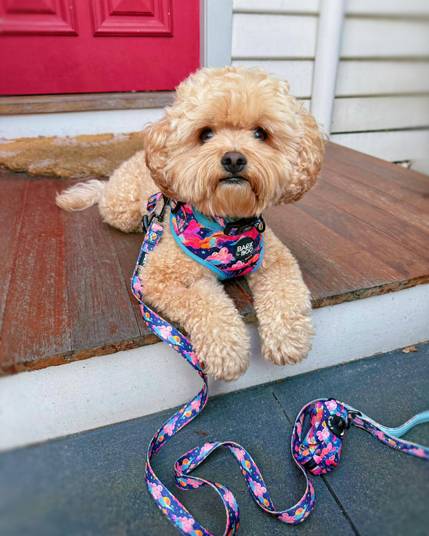 Candy Skies - Adjustable Chest Harness