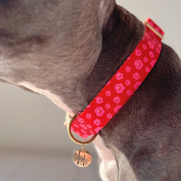 The Ruby - Dog Collar