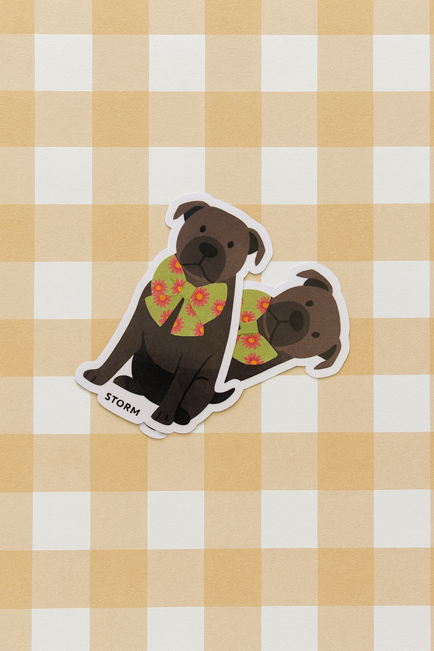 Custom Pet Stickers