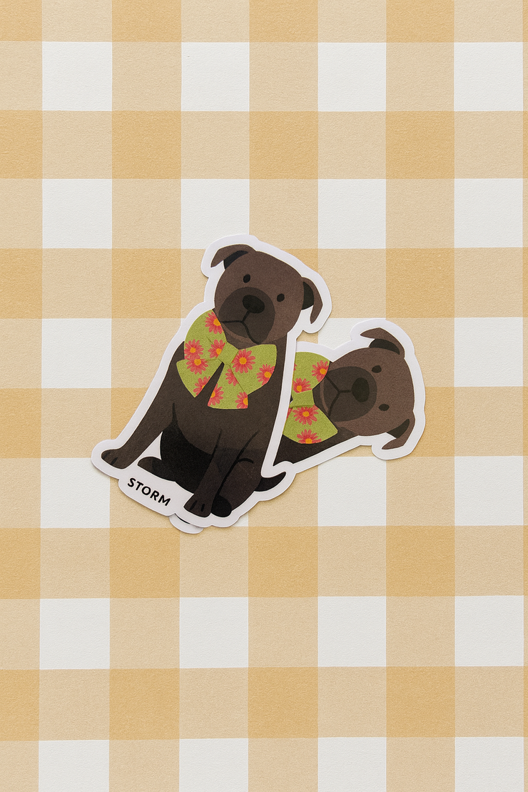 Custom Pet Stickers