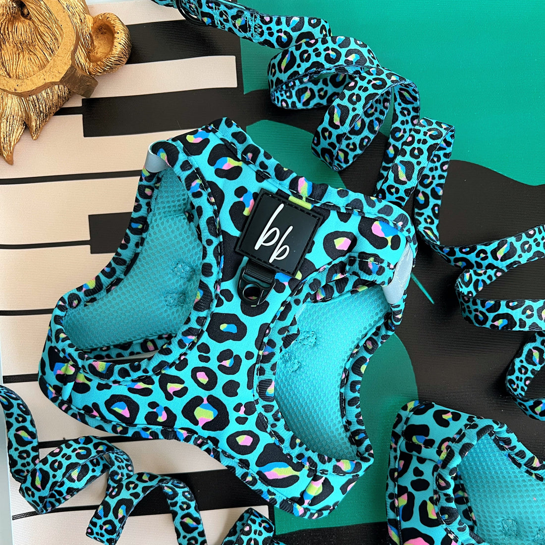 Mint Leopard - Dog Lead