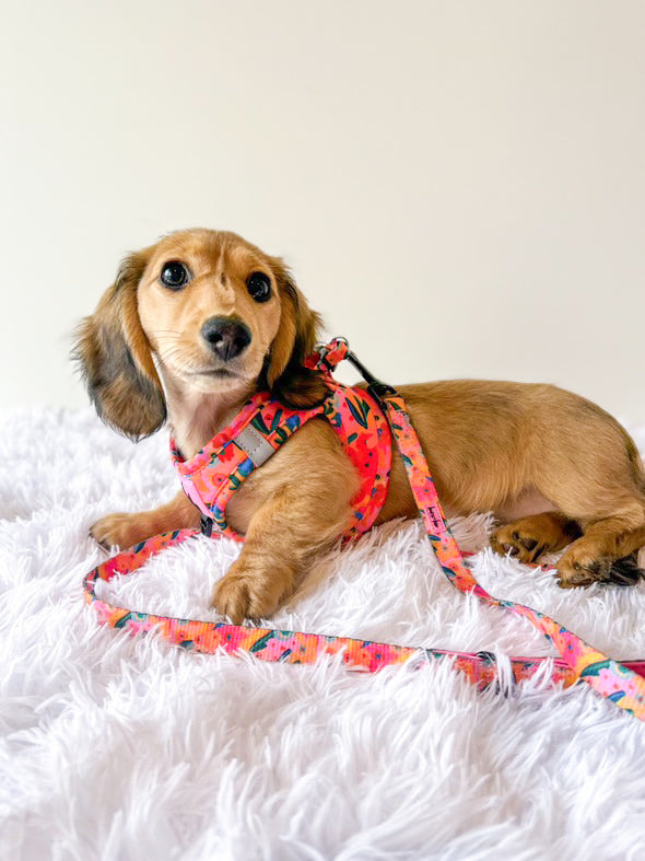 Botanical - Vest Mesh Harness