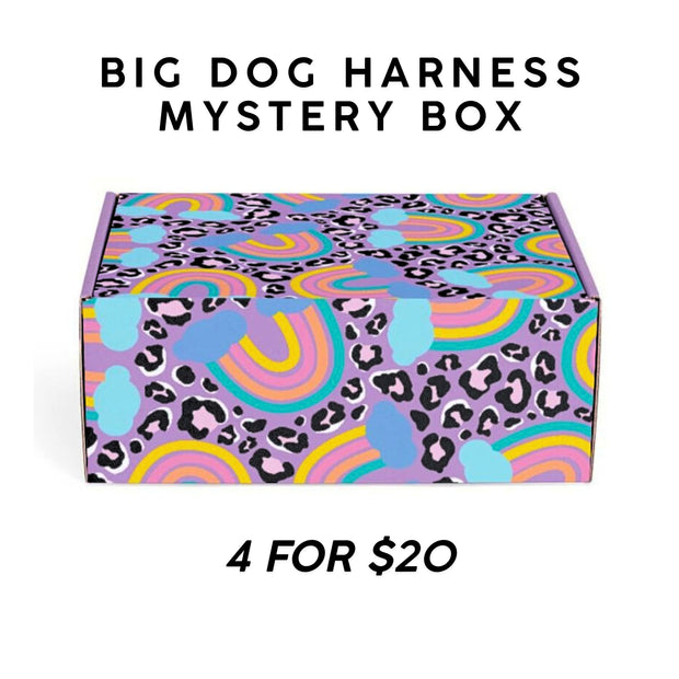 Big Dog Harness Mystery Box - 4 for $20