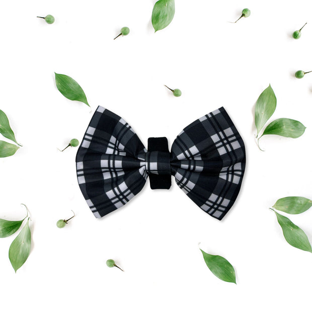 Hocus Pocus - Bow Tie