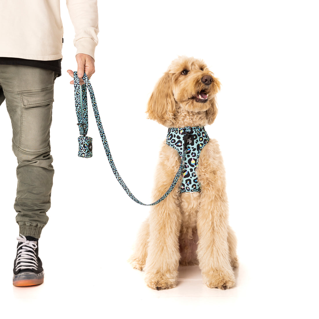 Mint Leopard - Dog Lead