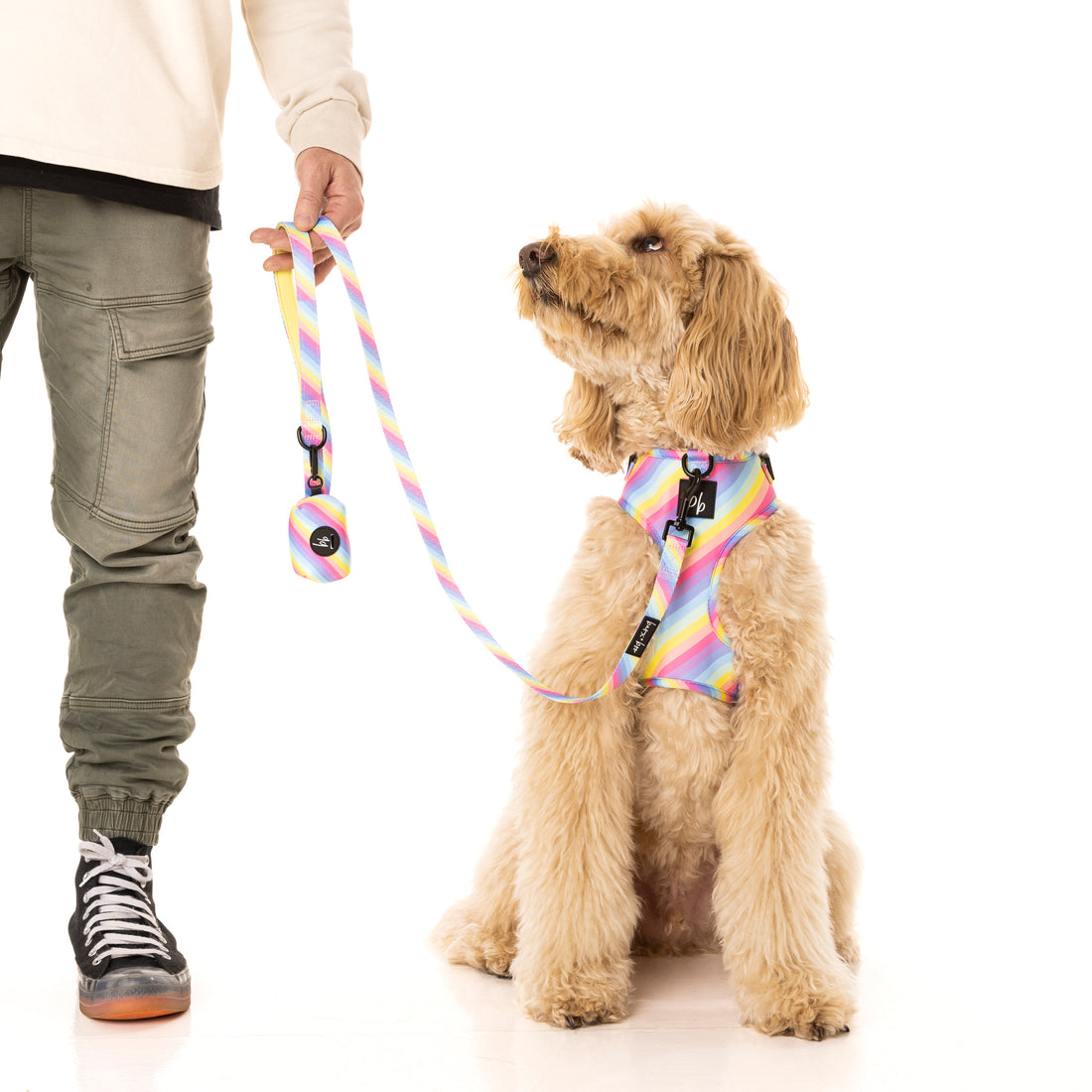 Rainbow - Dog Leash