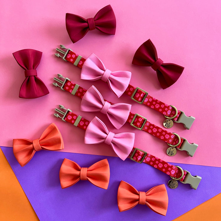 The Ruby - Dog Collar