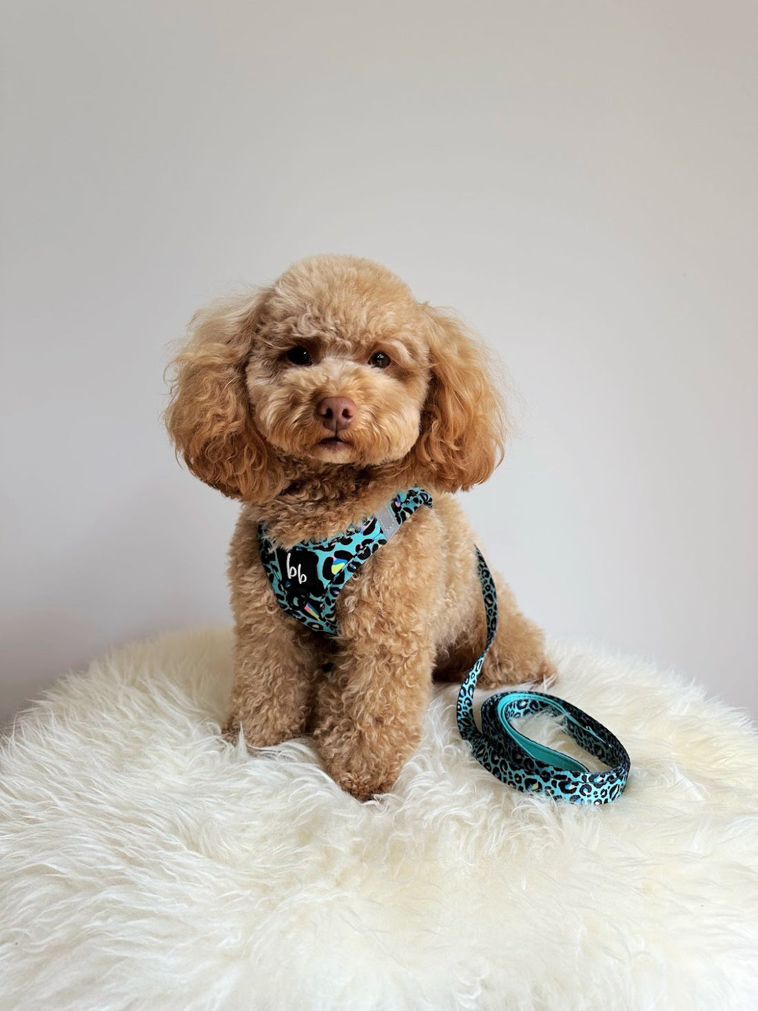 Mint Leopard - Vest Mesh Harness