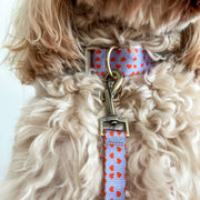 The Heartbreaker - Dog Collar