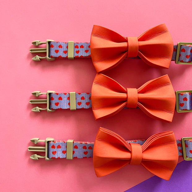 The Heartbreaker - Dog Collar