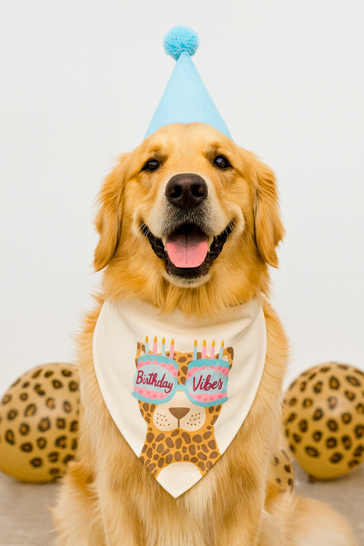 Birthday Vibes - 2-In-1 Bandana